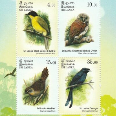 Endemic Birds of Sri Lanka