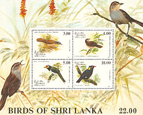 Birds of Shri Lanka