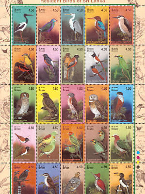 Resident birds of Sri Lanka